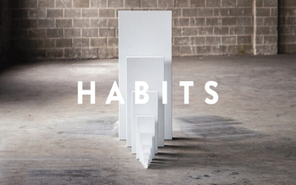 Habits Lead to Success Image